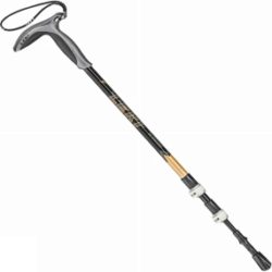 Leki Wanderfreund SL Walking Pole Black/Gold